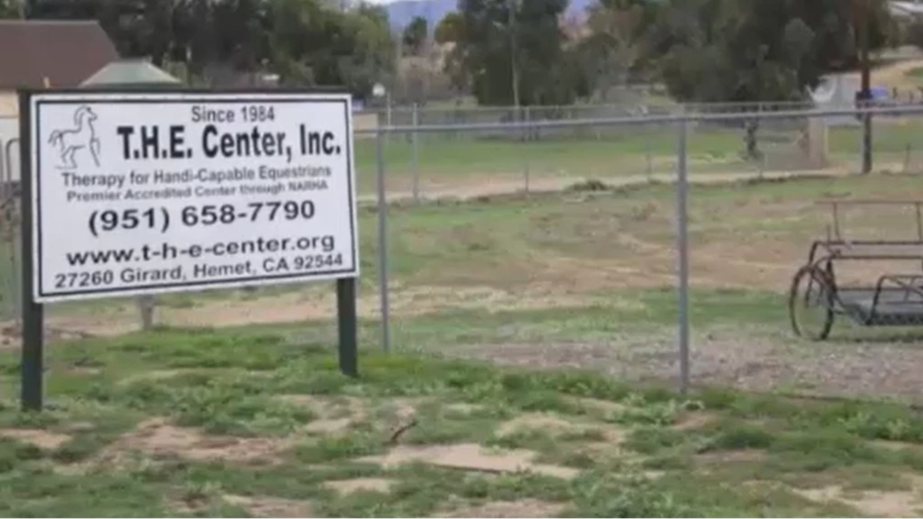 T.H.E Centre for Horse Riding and Coaching